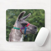 Tapis De Souris Llama supériorité (Avec souris)