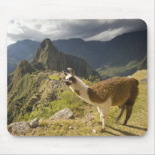 Tapis De Souris Llamas et vue sur Machu Picchu,