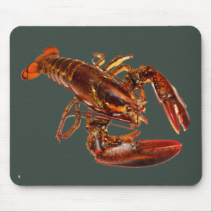 Tapis De Souris Lobster