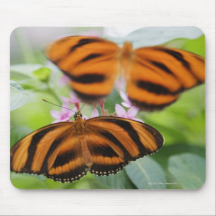 Tapis De Souris Long papillon 2 d'aile de zèbre