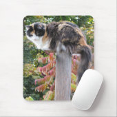 Tapis De Souris Long Tail Calico Caché de chaises à bascule (Avec souris)