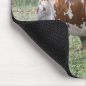 Tapis De Souris Longhorn (Coin)