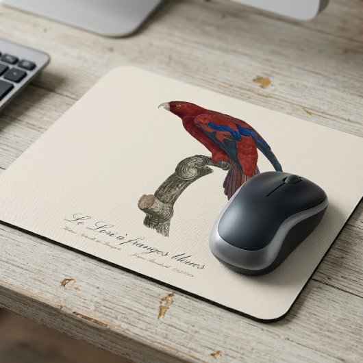 Tapis De Souris Lori à queue brune, Trichoglossus borneus