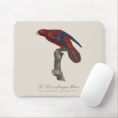 Tapis De Souris Lori à queue brune, Trichoglossus borneus (Avec souris)