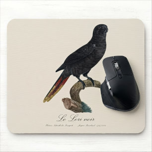 Tapis De Souris Lori noir ou Lori à bec rouge, Chalcopsitta atra