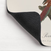 Tapis De Souris Lori rouge ou Eos Bornea, Trichoglossus borneus (Coin)