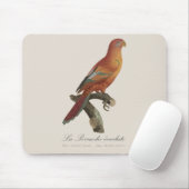 Tapis De Souris Lori rouge ou Eos Bornea, Trichoglossus borneus (Avec souris)