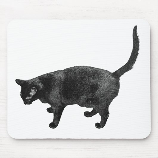Tapis De Souris L'orientation créative vient avec grâce (Devant)