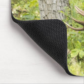 Tapis De Souris L'orignal (Coin)