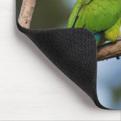 Tapis De Souris Lorikeets arc-en-ciel (Coin)