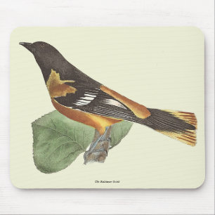 Tapis De Souris L'Oriole d'Or ou de Baltimore (Icterus galbula)