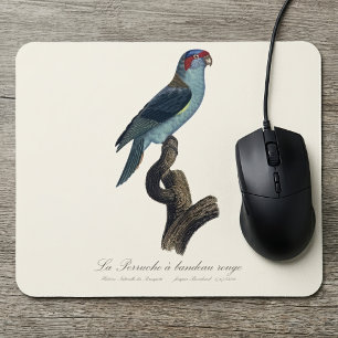 Tapis De Souris Loriquet à tête bleue, Trichoglossus concinnus