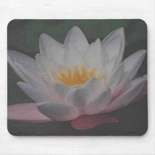 Tapis De Souris Lotus-Mousepad (Devant)