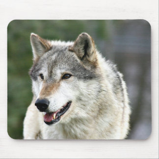 Tapis De Souris Loup