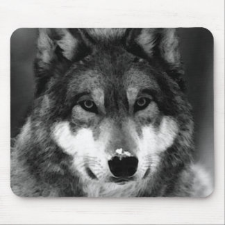 Tapis De Souris Loup