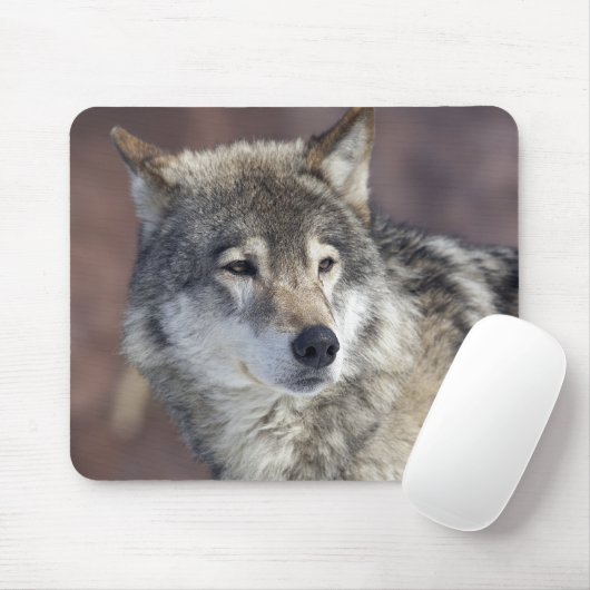 Tapis De Souris Loup (Avec souris)