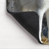 Tapis De Souris Loup arctique (Coin)