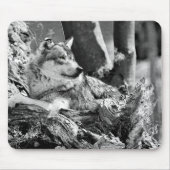 Tapis De Souris loup attentif (Devant)