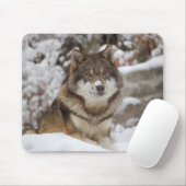 Tapis De Souris Loup d'hiver (Avec souris)