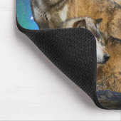 Tapis De Souris Loup et Lune (Coin)
