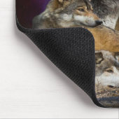 Tapis De Souris Loup et lune (Coin)