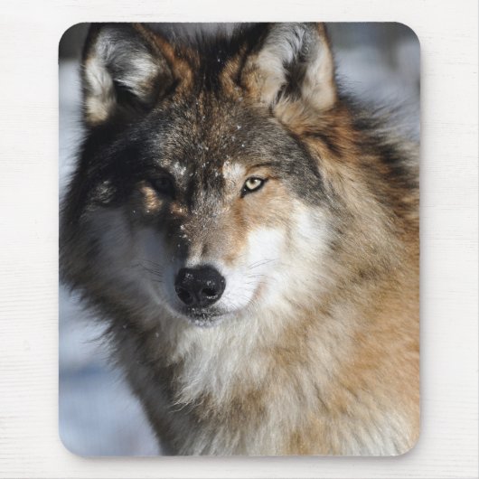 Tapis De Souris Loup gris (Devant)