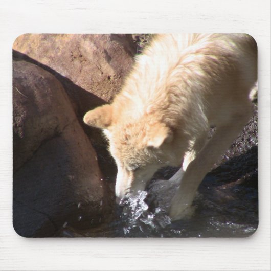 Tapis De Souris Loup gris (Devant)