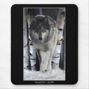 Tapis De Souris Loup gris alpha et bouleaux d'hiver
