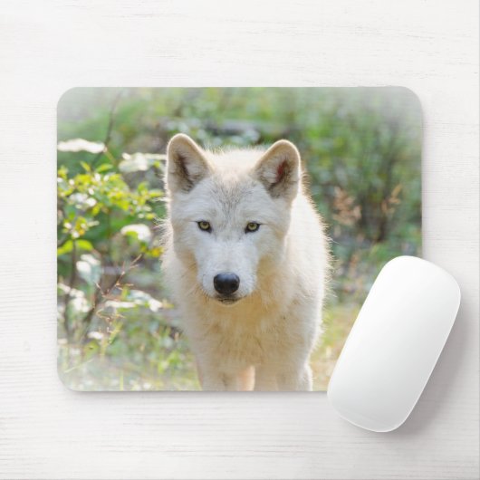 Tapis De Souris Loup gris, Canine calme (Avec souris)