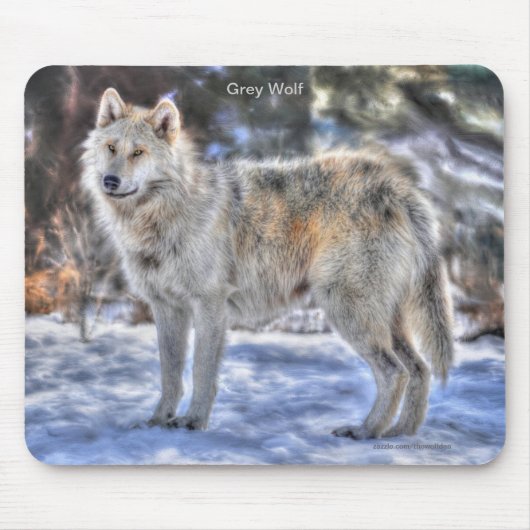 Tapis De Souris Loup gris clair et neige d'hiver (Devant)