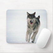 Tapis De Souris Loup gris courant (Avec souris)