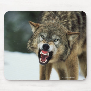Tapis De Souris Loup gris de grondement