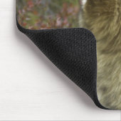 Tapis De Souris Loup gris (lupus de Canis) (Coin)