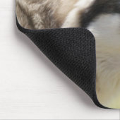 Tapis De Souris Loup gris Mousepad (Coin)