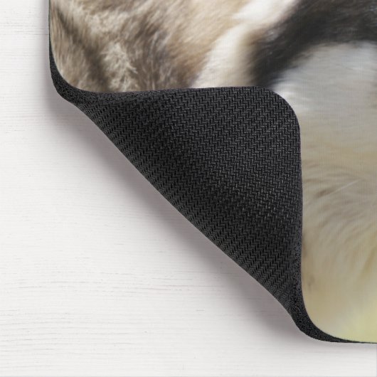 Tapis De Souris Loup gris Mousepad (Coin)