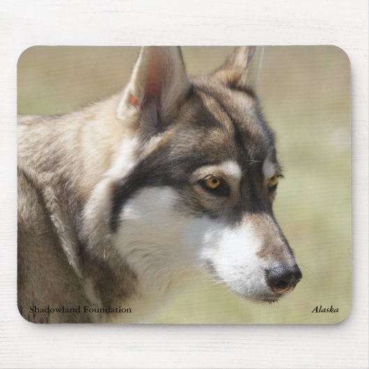 Tapis De Souris Loup gris Mousepad (Devant)