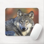 Tapis De Souris Loup gris Mousepad (Avec souris)