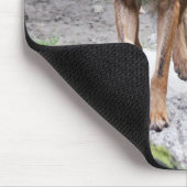 Tapis De Souris loup ibérien (Coin)