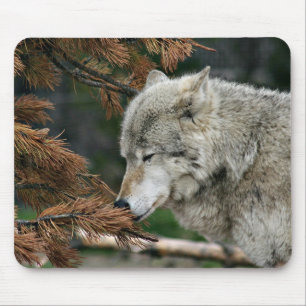 Tapis De Souris Loup méditant