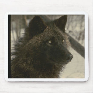 Tapis De Souris Loup noir
