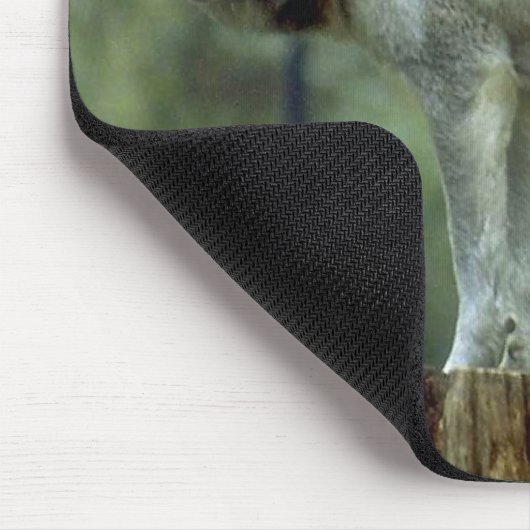 Tapis De Souris Loup solitaire Mousepad (Coin)