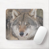 Tapis De Souris Loups (Avec souris)