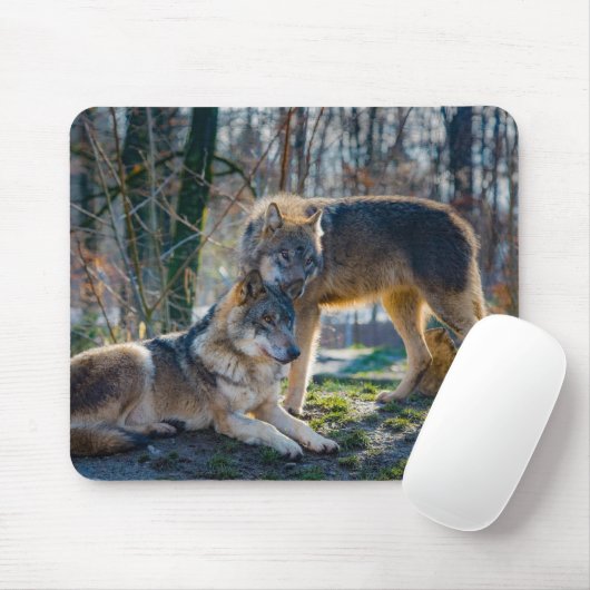 Tapis De Souris Loups (Avec souris)