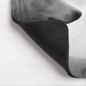 Tapis De Souris Loups (Coin)