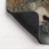 Tapis De Souris loups (Coin)