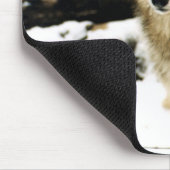 Tapis De Souris Loups dans la neige (Coin)