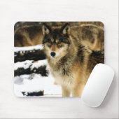 Tapis De Souris Loups dans la neige (Avec souris)