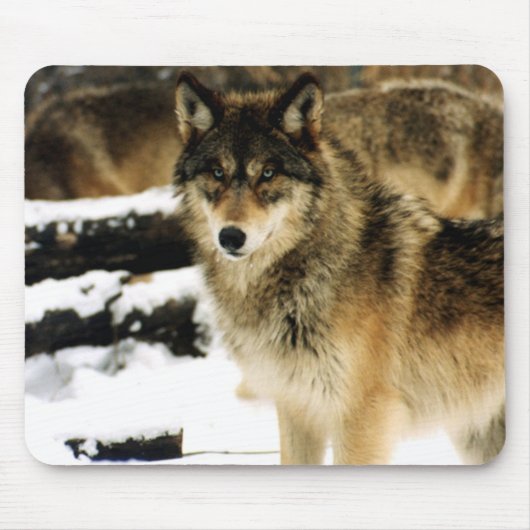 Tapis De Souris Loups dans la neige (Devant)