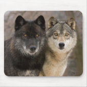 Tapis De Souris Loups gris (Devant)