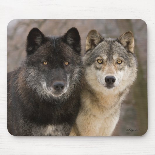 Tapis De Souris Loups gris (Devant)